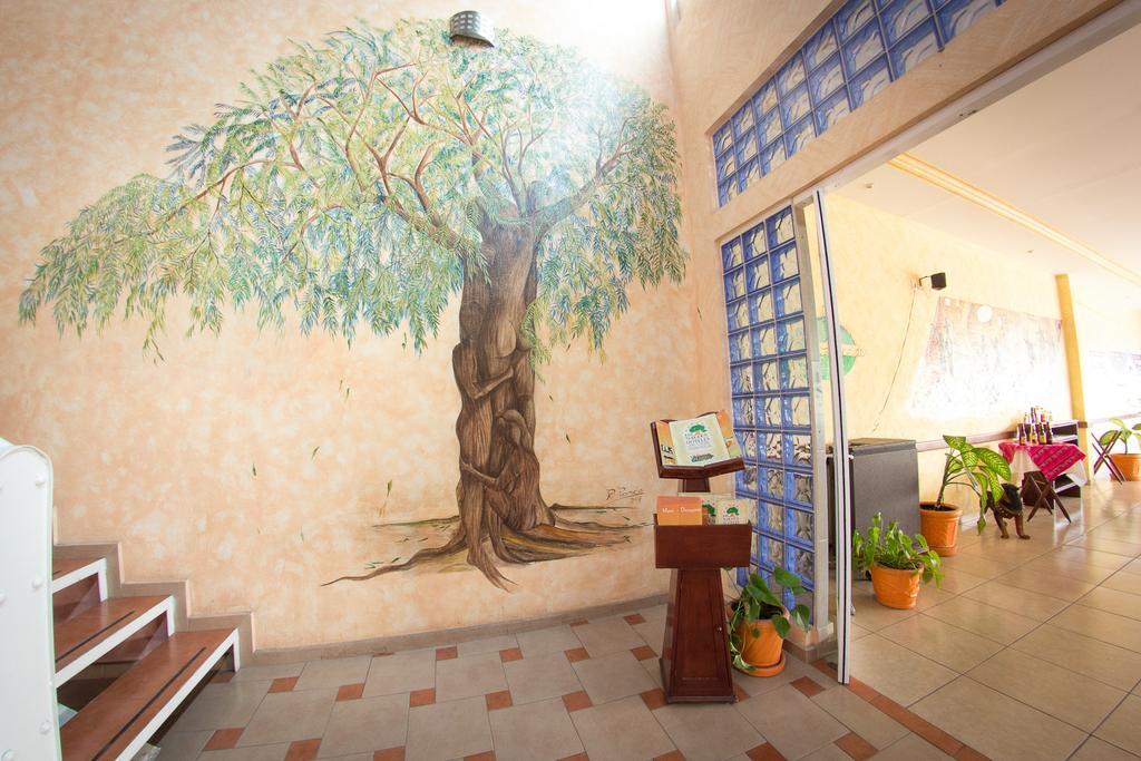 Hotel Los Sauces Oaxtepec Dış mekan fotoğraf